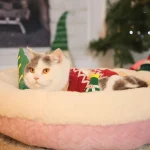 round soft dog bed