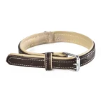 Individuelles Hundehalsband aus Leder