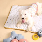 Cats Puppy Clothing