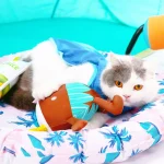 Camiseta Refrigeração para Cachorro Gato