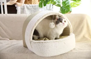 1.Transportadores para gatos con lados blandos