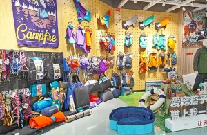 Guia essencial de roupas para cães