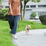 Laisse longue pour chien