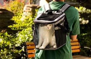 «Camas para perros al aire libre Cama plana grande para perros» — Petstar