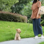 el mejor collar de cuero para perro