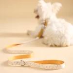 カスタム犬用リード
