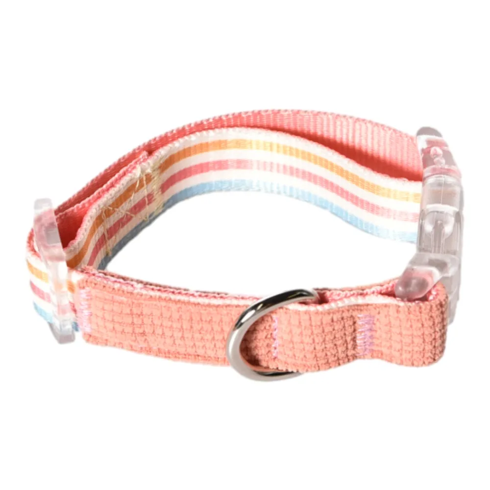 lindo collar de mascota perro