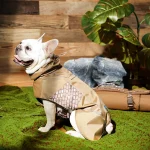 roupa de designer para cães