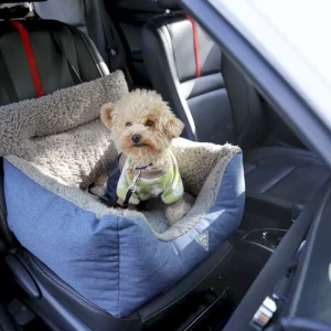 автокресло для собаки