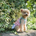 falda para perro