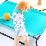 ropa de moda para gatos
