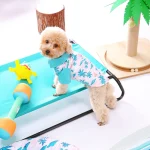 ropa de moda para perros y gatos