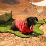 camisola de malha para cães