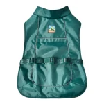 открытый собака одежда животное