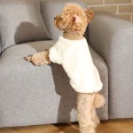 pluche hondenkleding huisdier