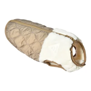 recycled dog clothes