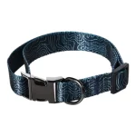 coleira reciclada para cães