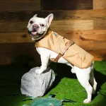 светоотражающая одежда для собак домашние животные