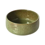 retro dog bowl
