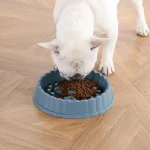 cuenco redondo para perros