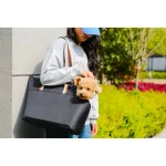 소형견 캐리어 핸드백