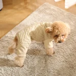 chaquetas de abrigo para perros