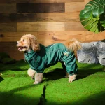 waterproof dog apparel pet