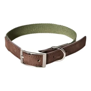 ウェビング・ドッグ・カラー