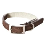 webbing collar de perro mascota