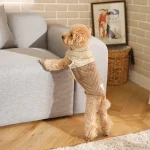 casaco de inverno para cães