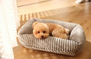 15가지 유형의 개 침대