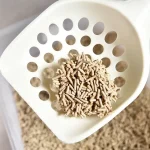 Lettiera biodegradabile per gatti