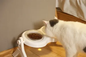 Кошачьи миски