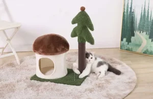 Beschaffung von Kratzbäumen