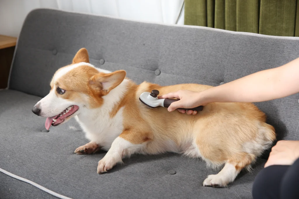 Escova para cachorro