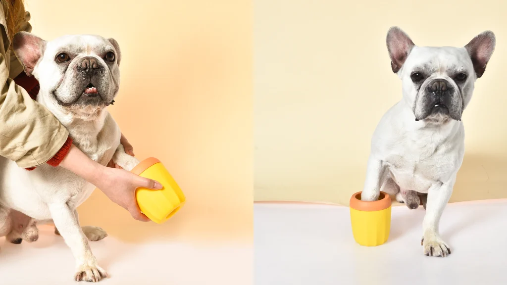 Lavadora de patas de cachorro