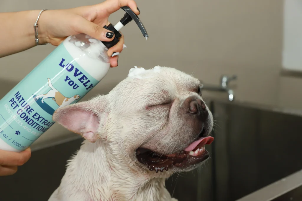Shampoo para cães