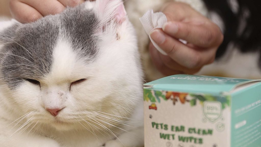 TOALLITAS PARA OÍDOS DE GATO