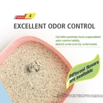 두부와 벤토나이트 고양이 쓰레기