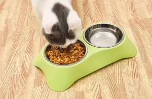 Tazón para mascotas tradicional versus tazón para mascotas de alimentación lenta