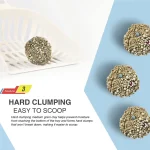 lettiera in bentonite per gatti