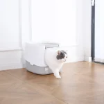 caixa de areia de entrada superior