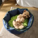 letti per cani resistenti all'acqua