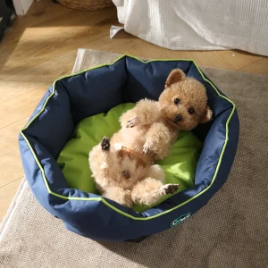 water resistant dog beds