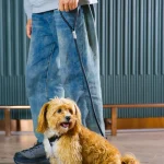 Correa para perros de cuero biológico