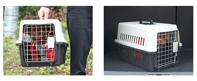 Hard-Sided Pet Carriers