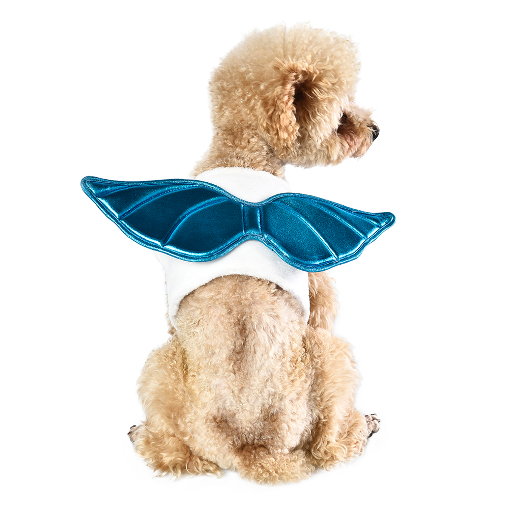 Vêtements fantaisie pour chien, vêtements mignons et amusants pour chien.