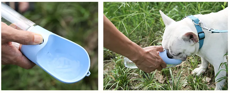 Portable Pet Water Bottles