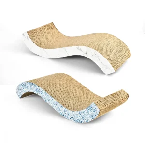 Carton de chat en stock