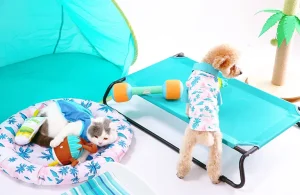 Productos de verano para mascotas